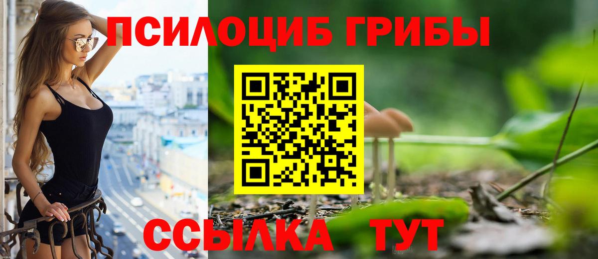 Верхний Уфалей  Галлюциногенные грибы GOLDEN TEACHER  Вход с VPN 